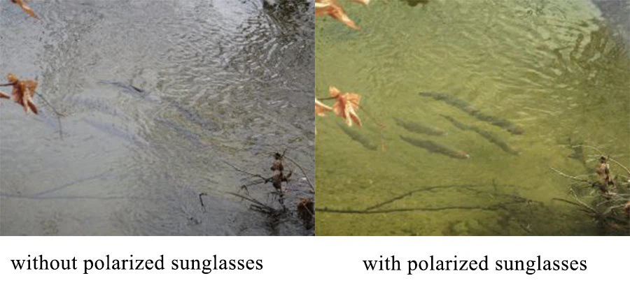 polarized sunglasses